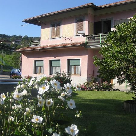 B&B Garden Solto Collina Exteriér fotografie
