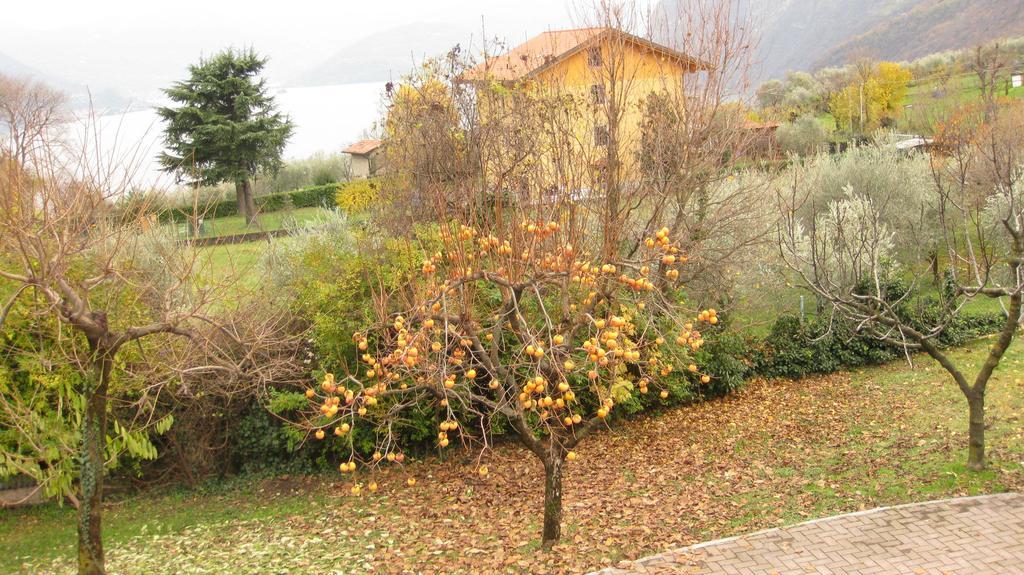 B&B Garden Solto Collina Exteriér fotografie