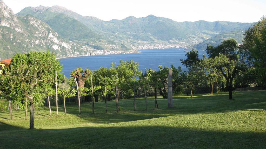 B&B Garden Solto Collina Exteriér fotografie